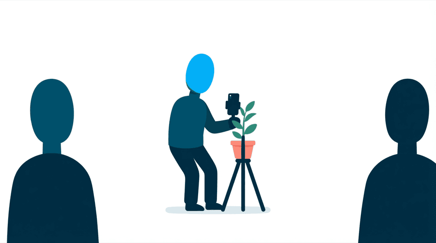 Illustration: a figure filming a small potted plant with a phone on a tripod