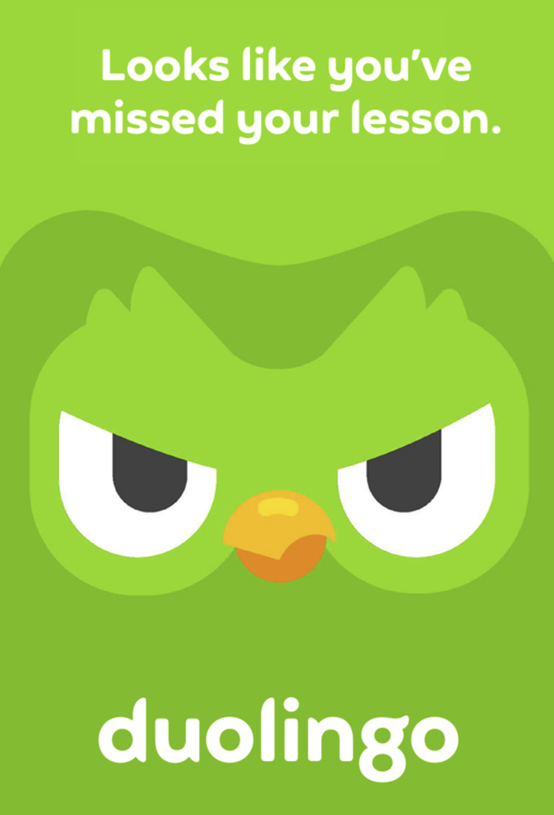 A Duolingo meme notification: the stern Duolingo owl with the caption Looks like you have missed your lesson
