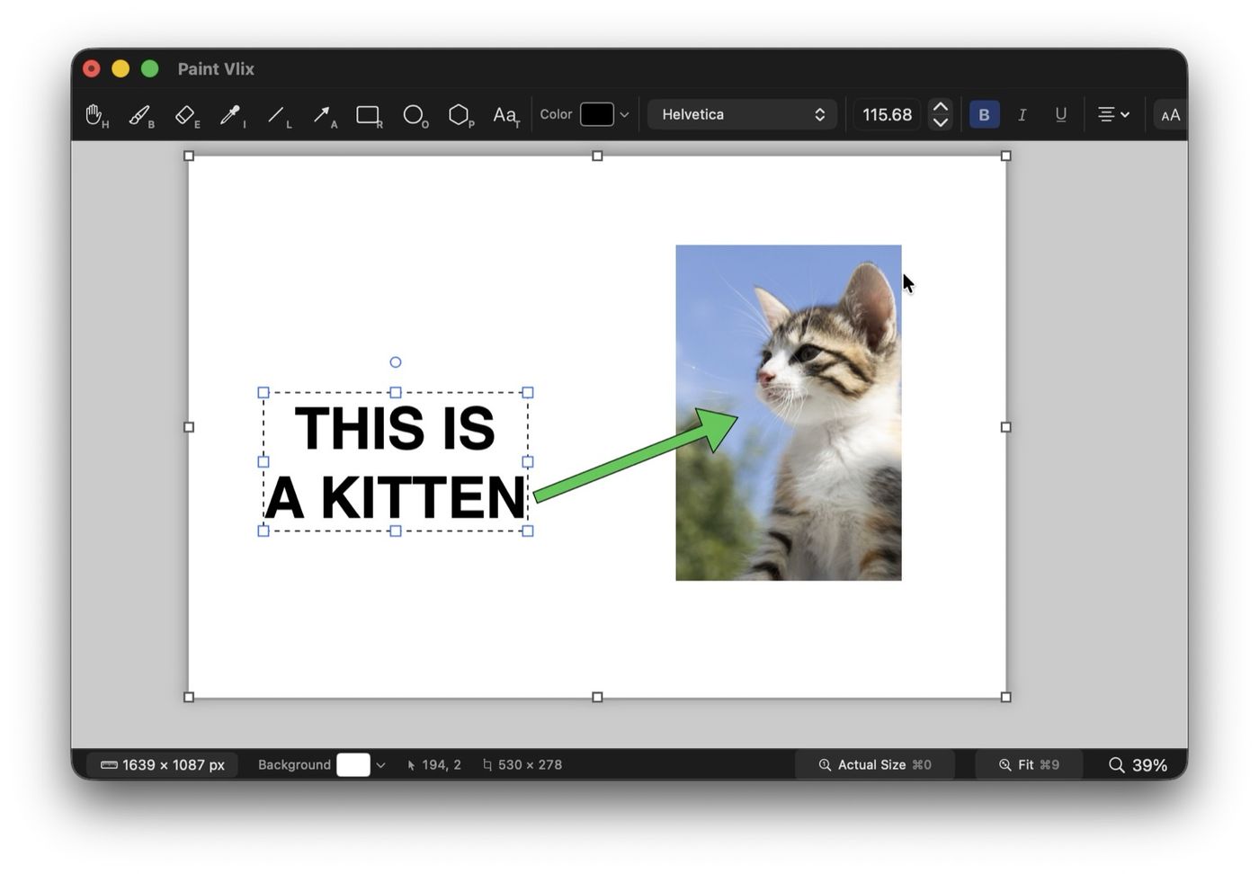 Paint Vlix with a photo of a kitten, a green callout arrow, and bold text reading THIS IS A KITTEN, all still selected and editable