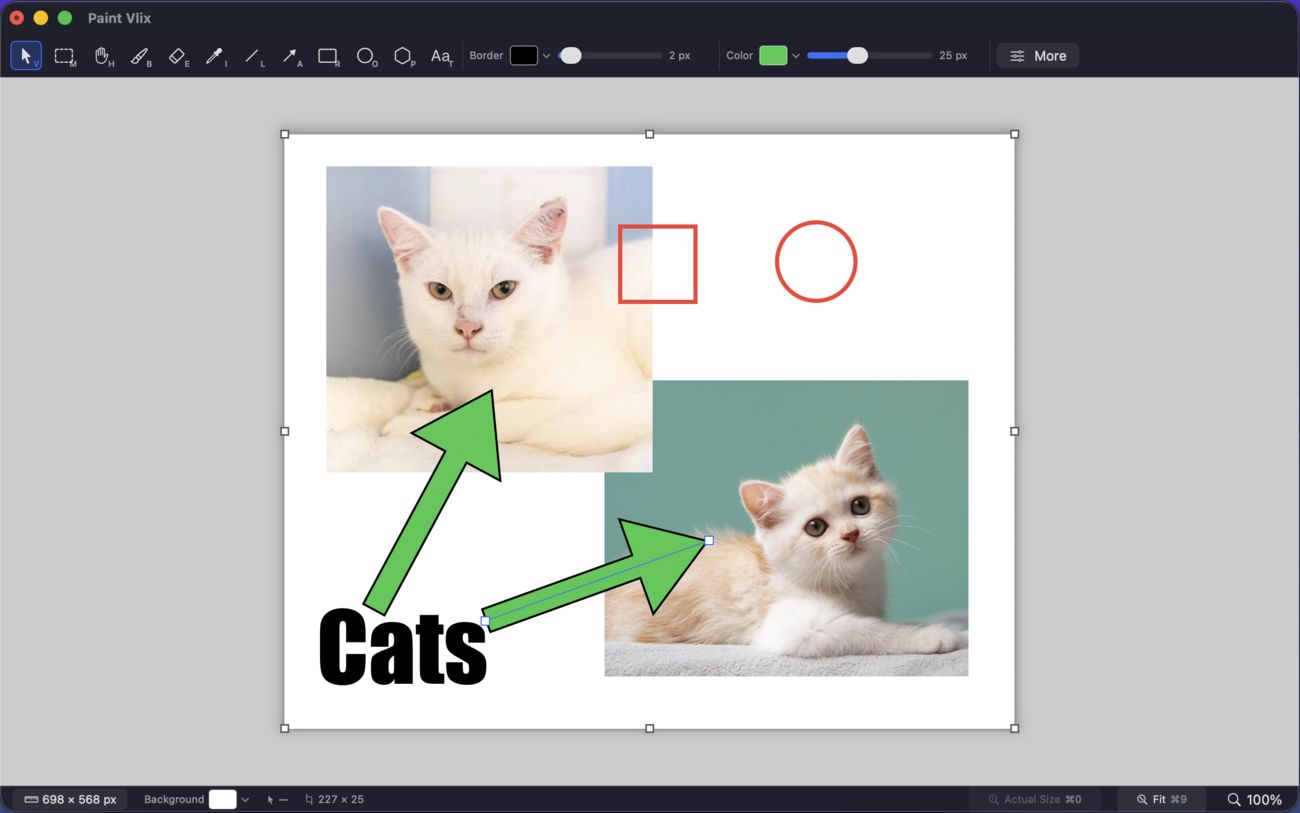 Paint Vlix on macOS with a familiar toolbar, drawing shapes, arrows, and text on an image