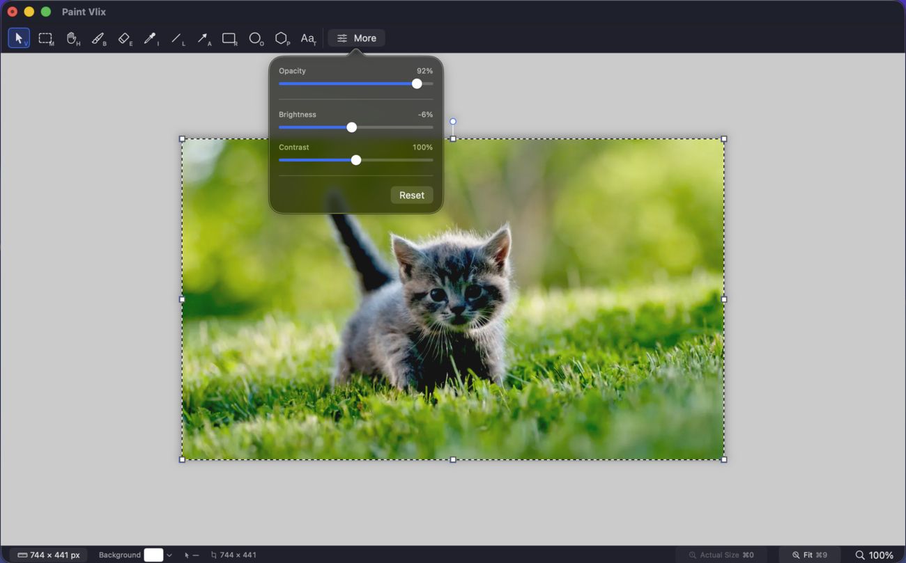 Paint Vlix adjusting the brightness and contrast of a photo with sliders in the More panel