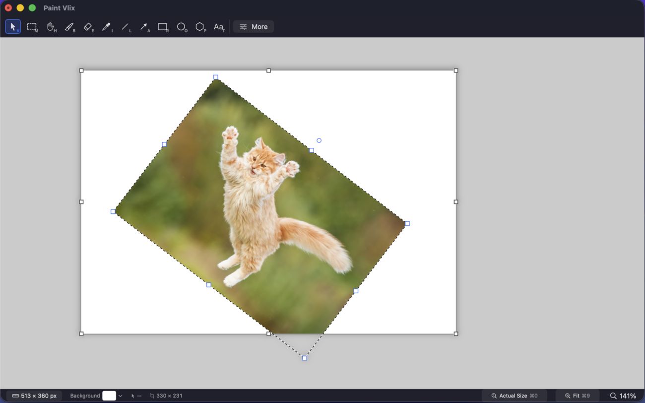 Paint Vlix rotating a photo of a leaping cat freely on the canvas using the rotation handle